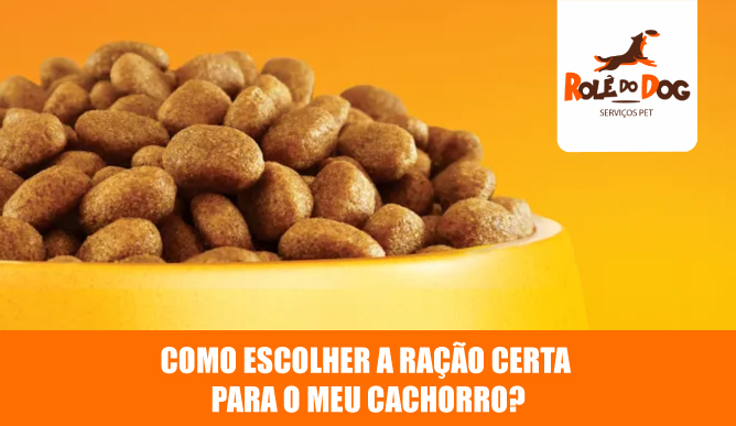 como-escolher-a-ração-certa-para-meu-cachorro