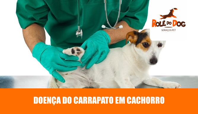 doença do carrapato em cachorro