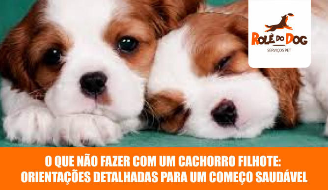 O que Não Fazer com um Cachorro Filhote