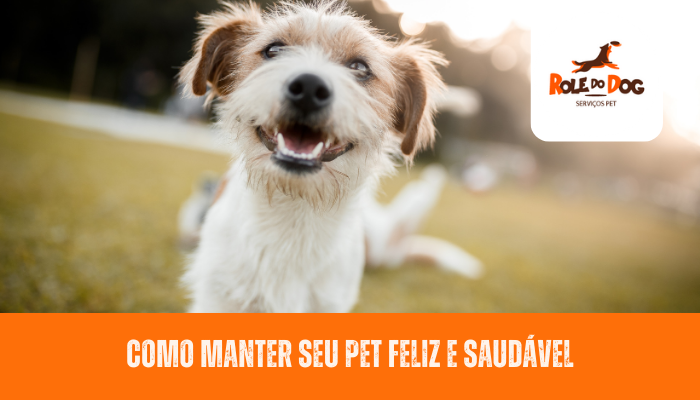 Como Manter Seu Pet Feliz e Saudável