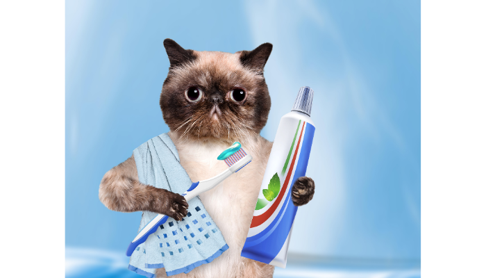 Higiene Bucal do Pet