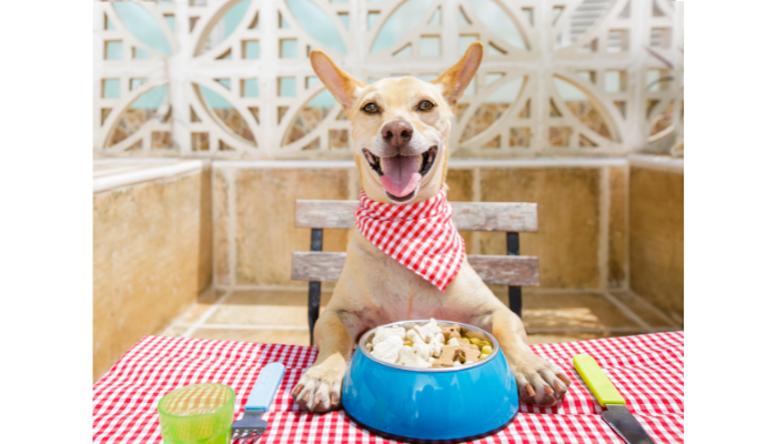 Alimentação Saudável