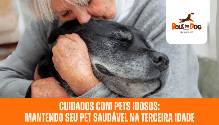 Pet Idoso