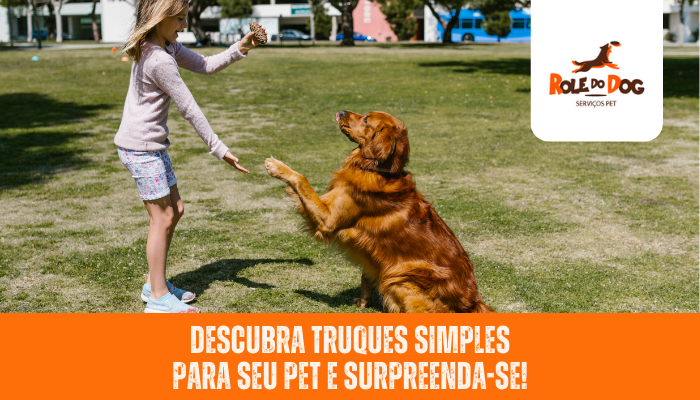 Descubra Truques Simples para seu Pet e Surpreenda-se!