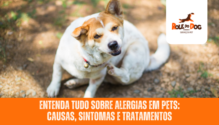 Entenda Tudo Sobre Alergias em Pets: Causas, Sintomas e Tratamentos