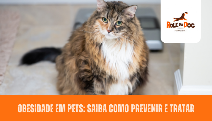 Obesidade em Pets