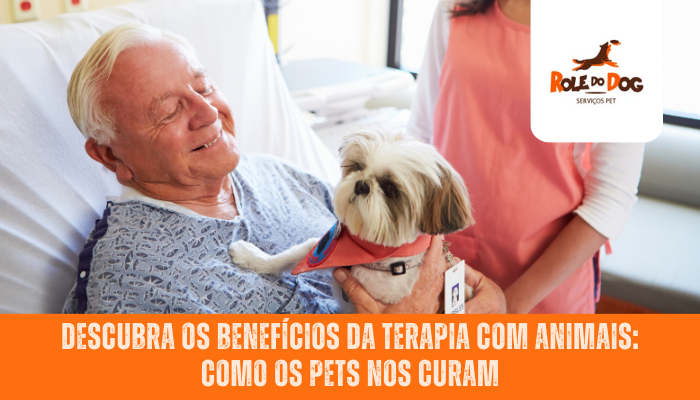Descubra Os Benefícios da Terapia com Animais: Como os Pets nos Curam
