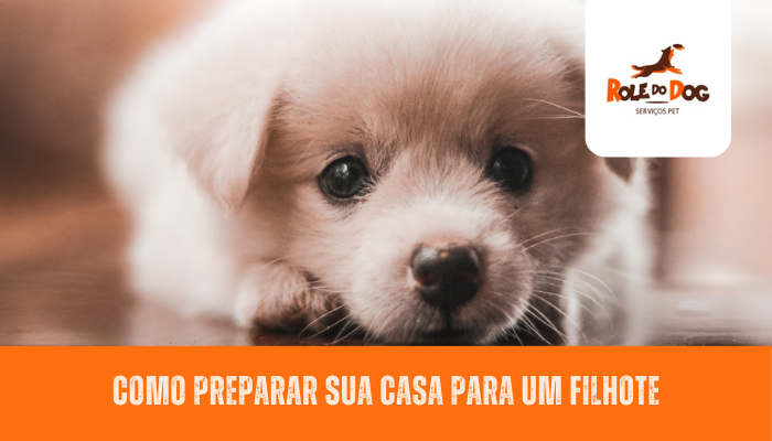 Como Preparar sua Casa para um Filhote