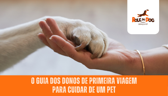 O Guia dos Donos de Primeira Viagem para Cuidar de um Pet