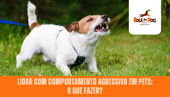 Lidar com Comportamento Agressivo em Pets: O que Fazer?