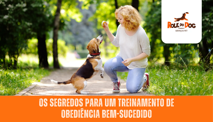 Os Segredos para um Treinamento de Obediência Bem-Sucedido
