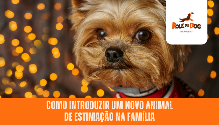 Como Introduzir um Novo Animal de Estimação na Família