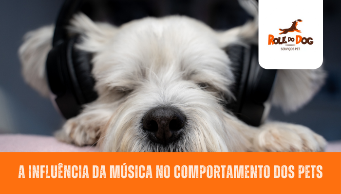 A Influência da Música no Comportamento dos Pets