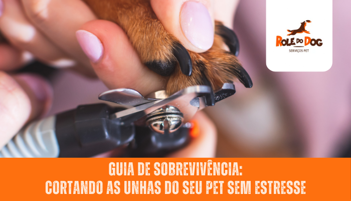 Guia de Sobrevivência: Cortando as Unhas do seu Pet sem Estresse