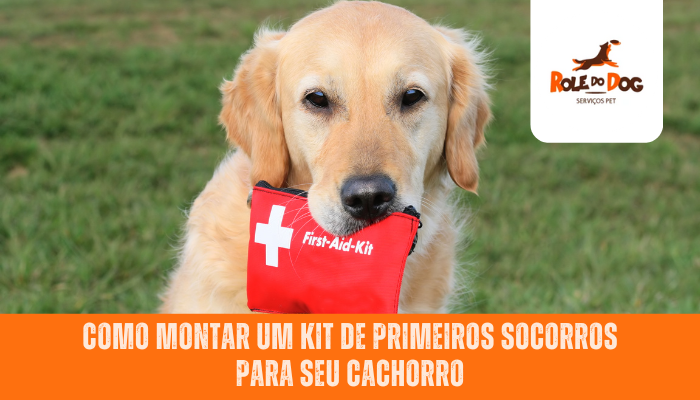 Como Montar um Kit de Primeiros Socorros para seu Cachorro