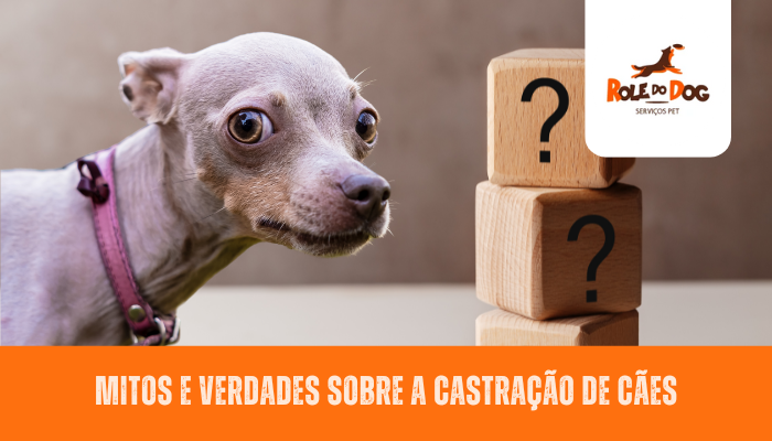 Mitos e Verdades sobre a Castração de Cães