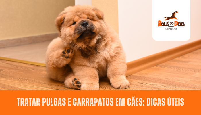 Tratar Pulgas e Carrapatos em Cães: Dicas Úteis