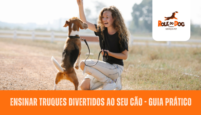 Ensinar Truques Divertidos ao Seu Cão - Guia Prático