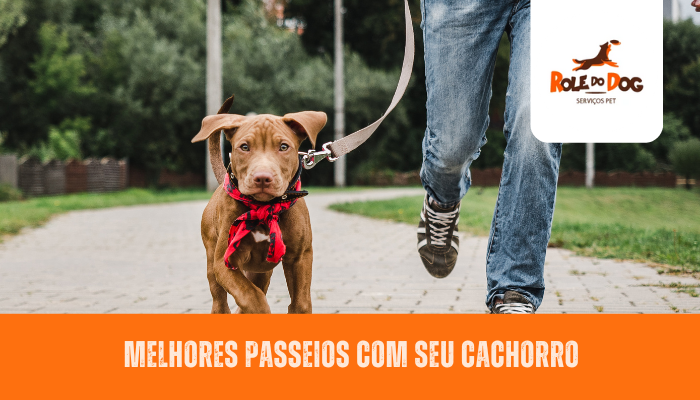 Melhores Passeios com Seu Cachorro