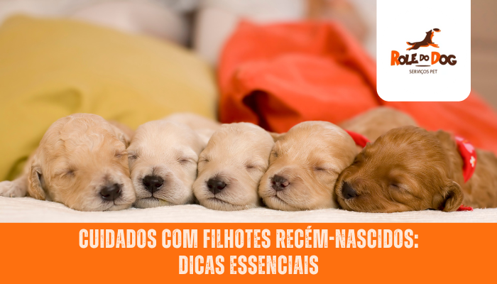Cuidados com Filhotes Recém-Nascidos: Dicas Essenciais