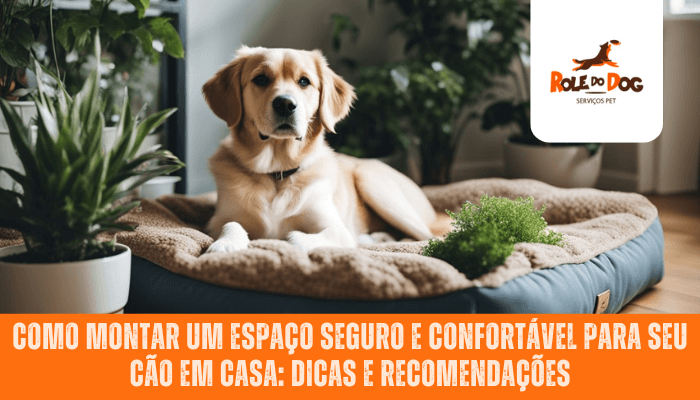 Como montar um espaço seguro e confortável para seu cão em casa: dicas e recomendações