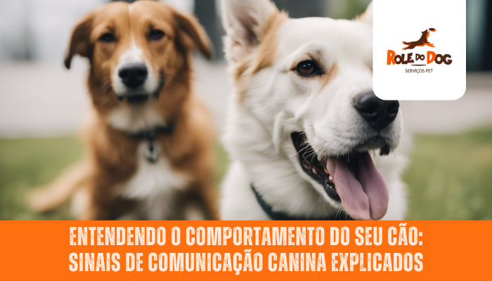 Entendendo o comportamento do seu cão: Sinais de comunicação canina explicados