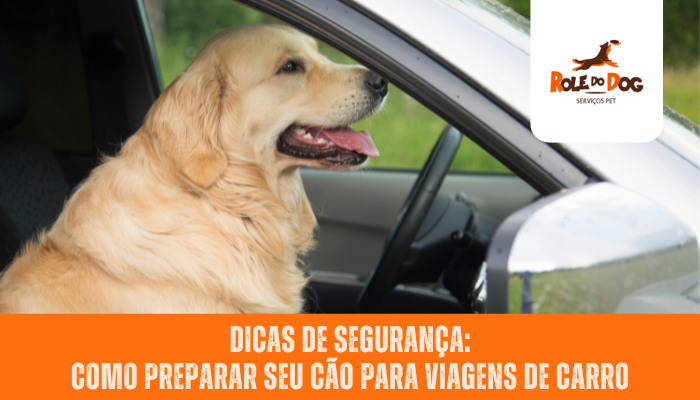 Dicas de segurança: Como preparar seu cão para viagens de carro