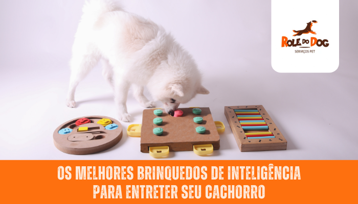 Os melhores brinquedos de inteligência para entreter seu cachorro