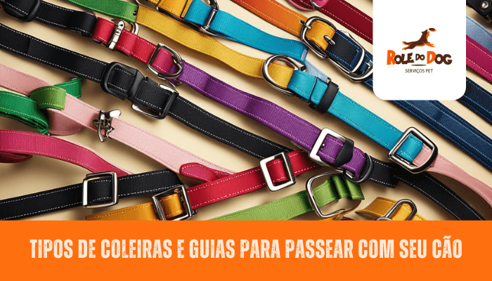 Tipos de coleiras e guias para passear com seu cão
