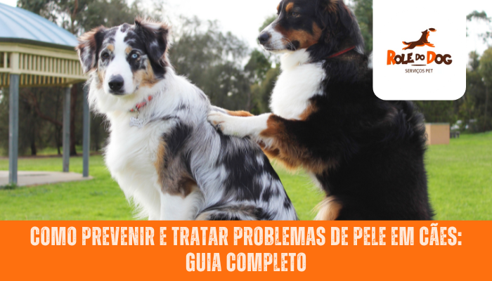 Como prevenir e tratar problemas de pele em cães: Guia completo