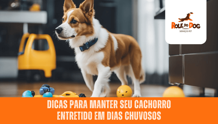 Dicas para manter seu cachorro entretido em dias chuvosos