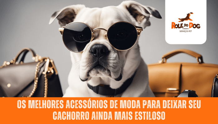 Os melhores acessórios de moda para deixar seu cachorro ainda mais estiloso