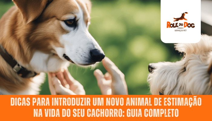 Dicas para introduzir um novo animal de estimação na vida do seu cachorro: Guia completo
