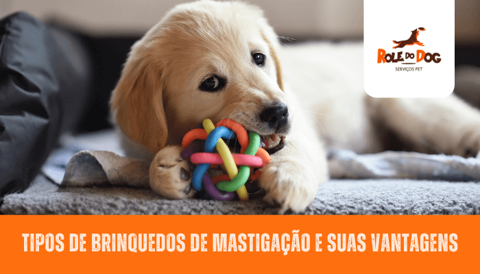 Tipos de brinquedos de mastigação e suas vantagens
