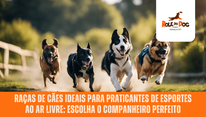 Raças de cães ideais para praticantes de esportes ao ar livre: escolha o companheiro perfeito para suas aventuras