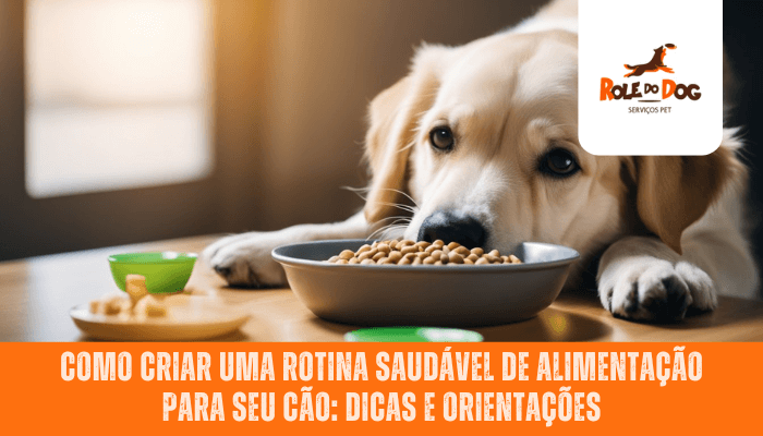 Como criar uma rotina saudável de alimentação para seu cão: Dicas e Orientações