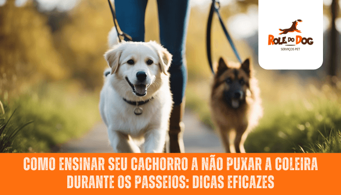 Como ensinar seu cachorro a não puxar a coleira durante os passeios: Dicas eficazes