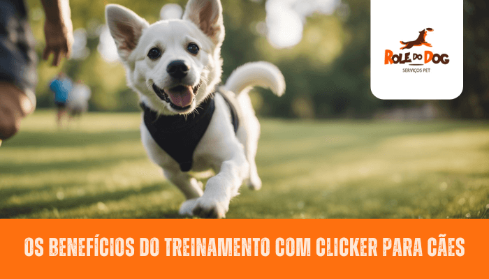 Os Benefícios do Treinamento com Clicker para Cães: Aprenda Como Melhorar a Comunicação e o Comportamento do Seu Animal