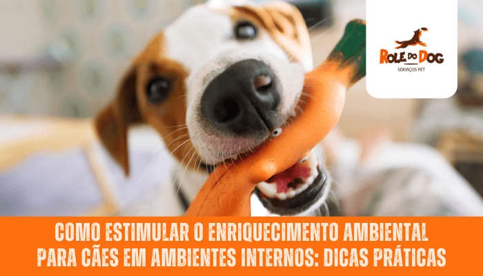 Como estimular o enriquecimento ambiental para cães em ambientes internos: dicas práticas