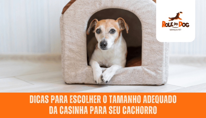 Dicas para escolher o tamanho adequado da casinha para seu cachorro
