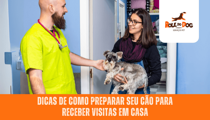 Dicas de como preparar seu cão para receber visitas em casa