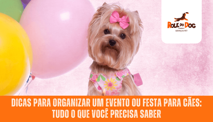 Dicas para organizar um evento ou festa para cães: tudo o que você precisa saber