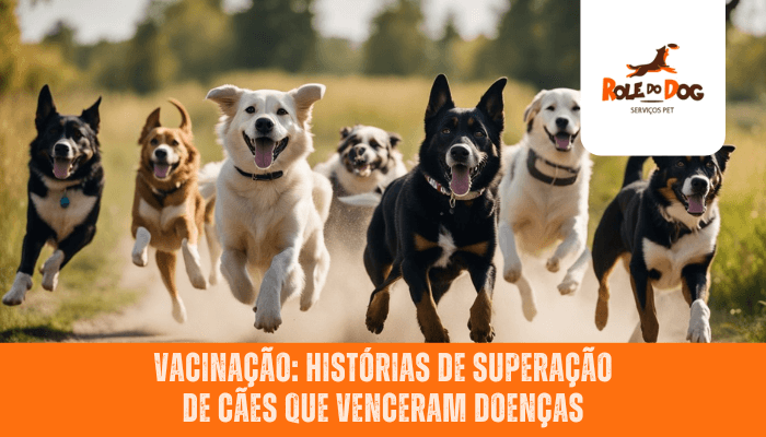 Vacinação: Histórias de Superação de Cães que Venceram Doenças