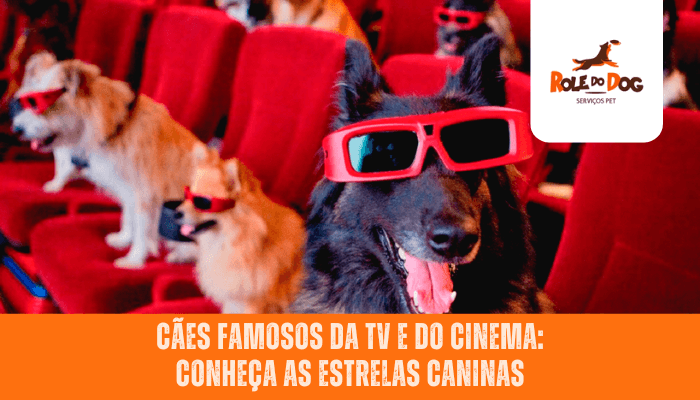 Cães Famosos da TV e do Cinema: Conheça as Estrelas Caninas