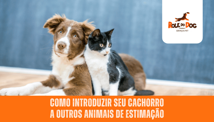 Como Introduzir Seu Cachorro a Outros Animais de Estimação