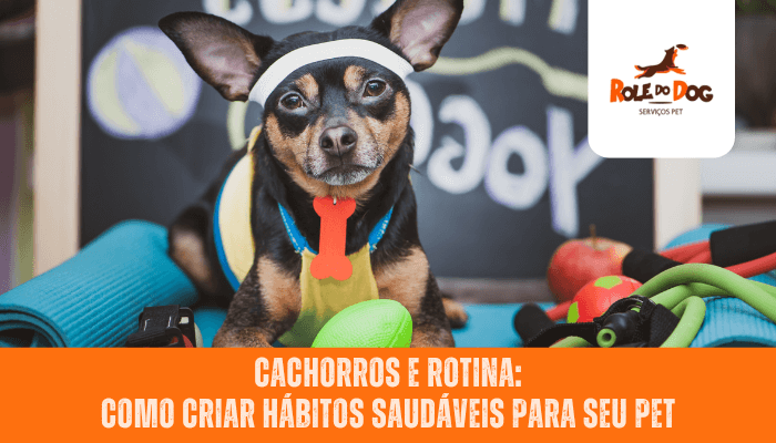 Cachorros e Rotina: Como Criar Hábitos Saudáveis para Seu Pet