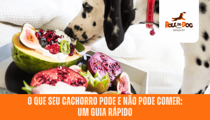 O que Seu Cachorro Pode e Não Pode Comer: Um Guia Rápido