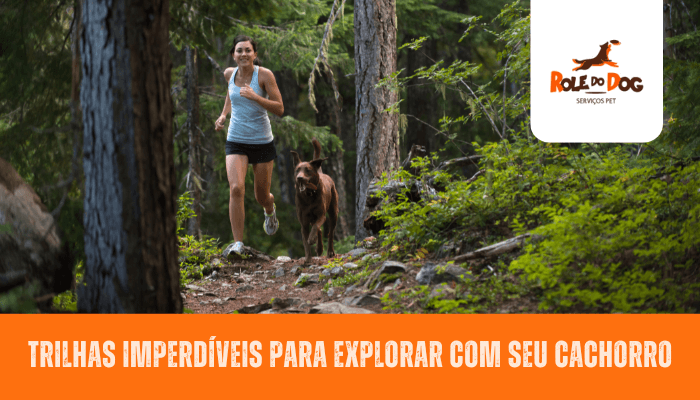 Trilhas Imperdíveis para Explorar com seu Cachorro