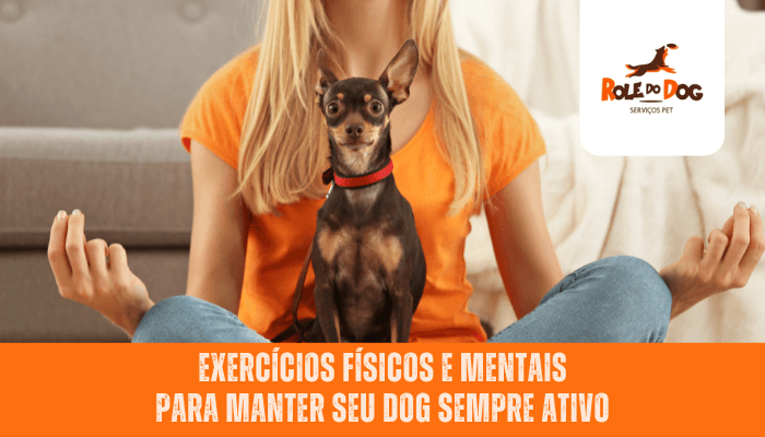 Exercícios Físicos e Mentais para Manter seu Dog Sempre Ativo