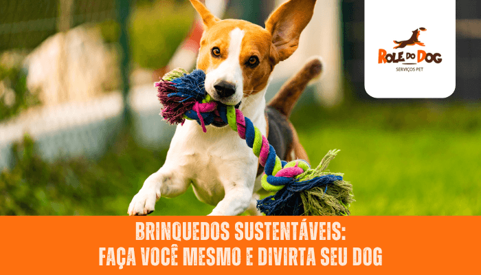 Brinquedos Sustentáveis: Faça Você Mesmo e Divirta seu Dog